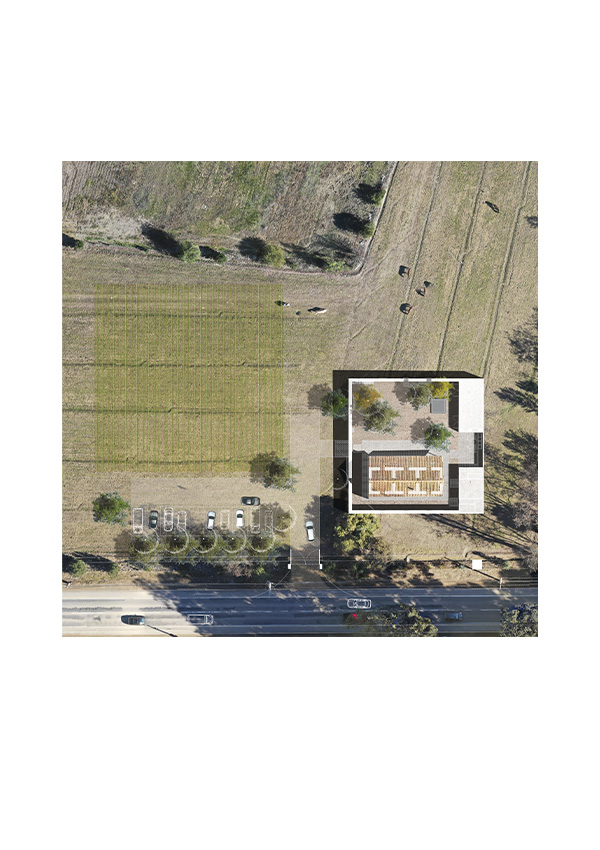 Emporio Liguai by Combeau Murtagh