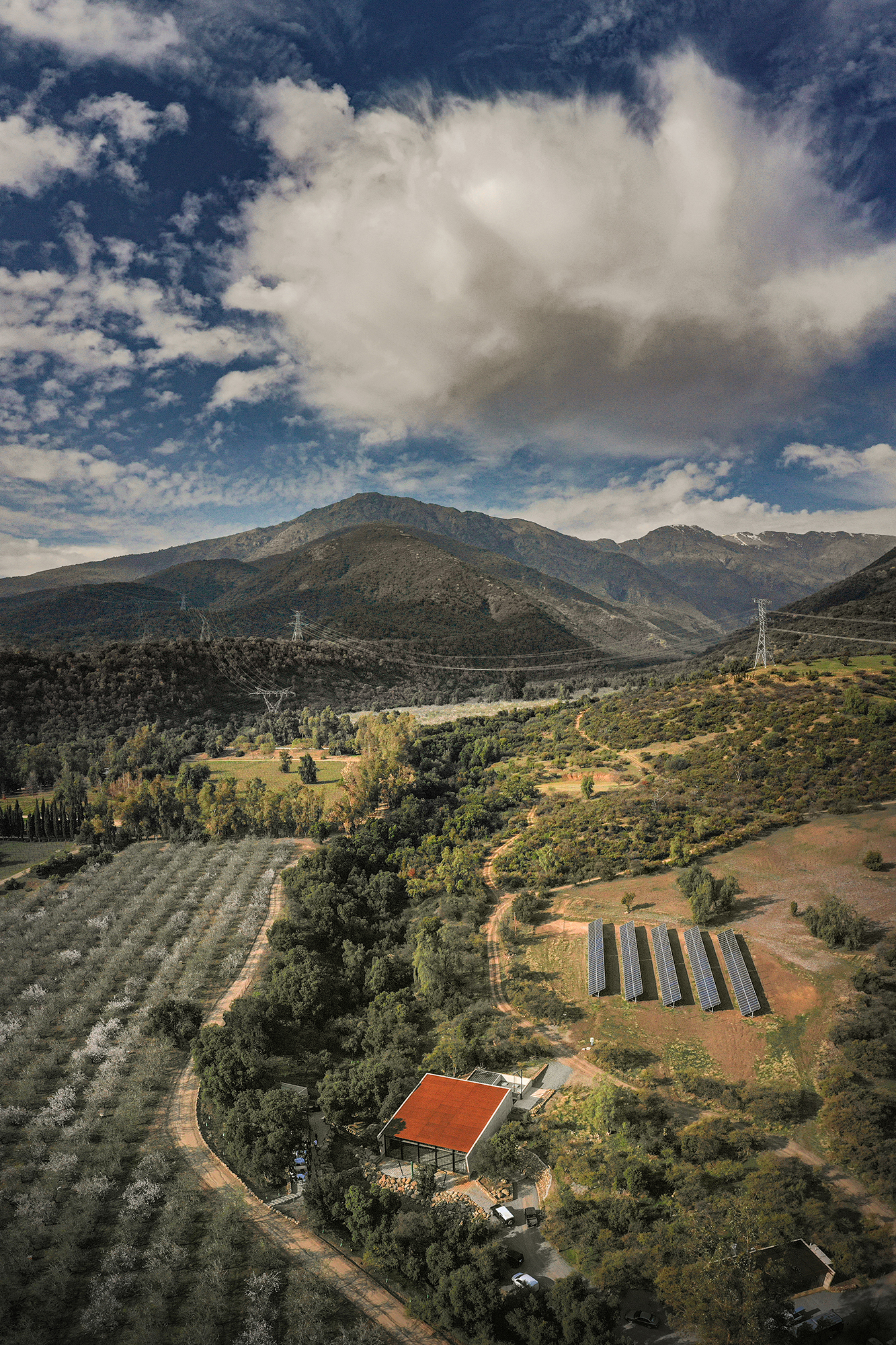 Combeau Murtagh Work