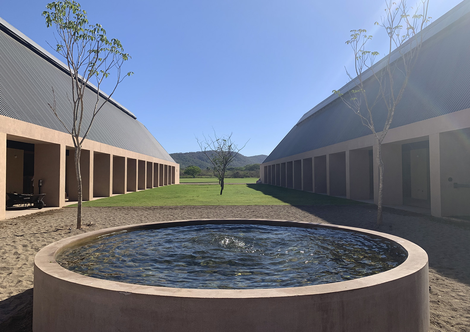 Combeau Murtagh Work