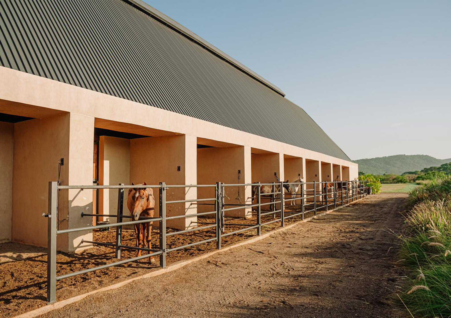 Combeau Murtagh Work