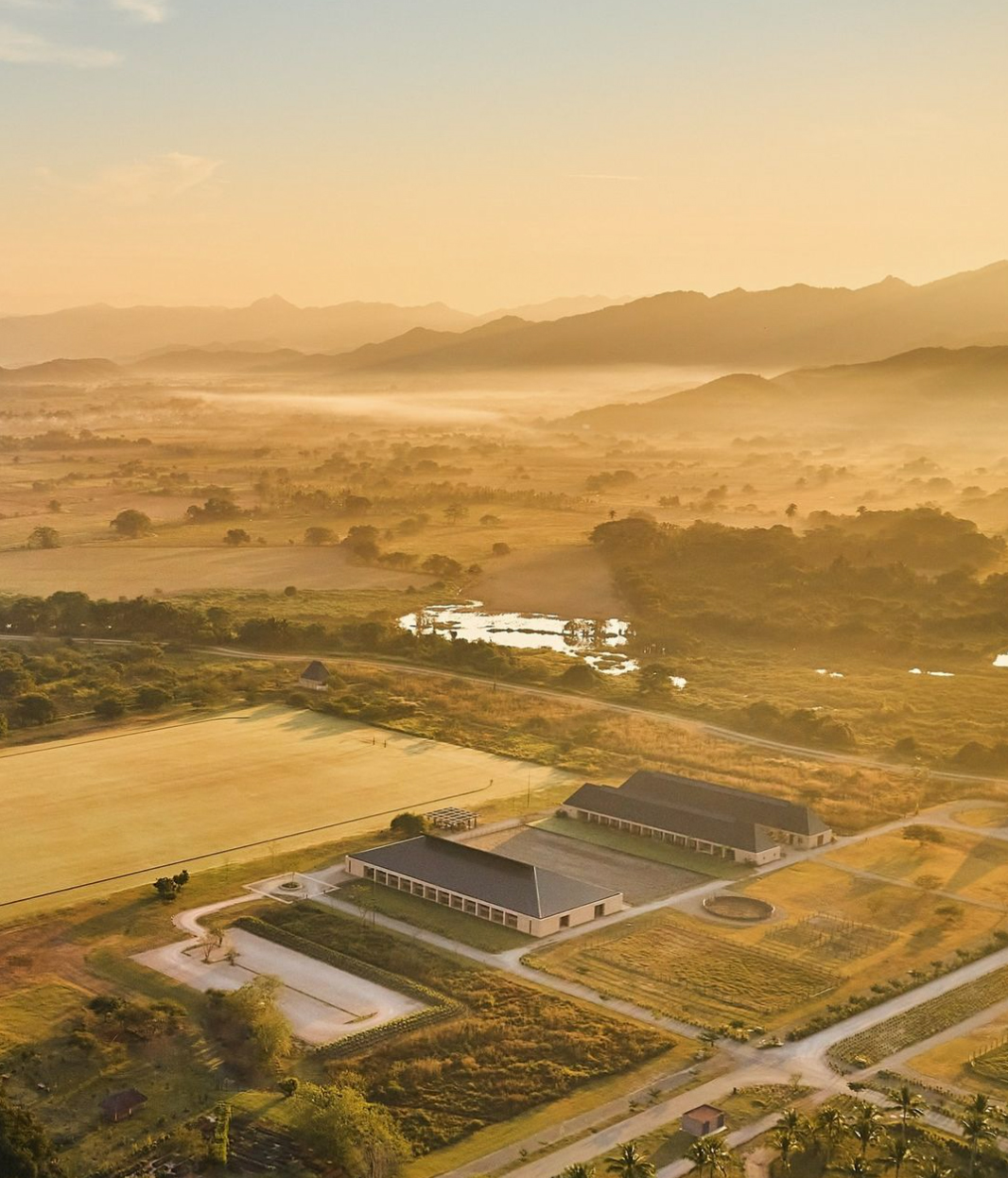 Combeau Murtagh Work